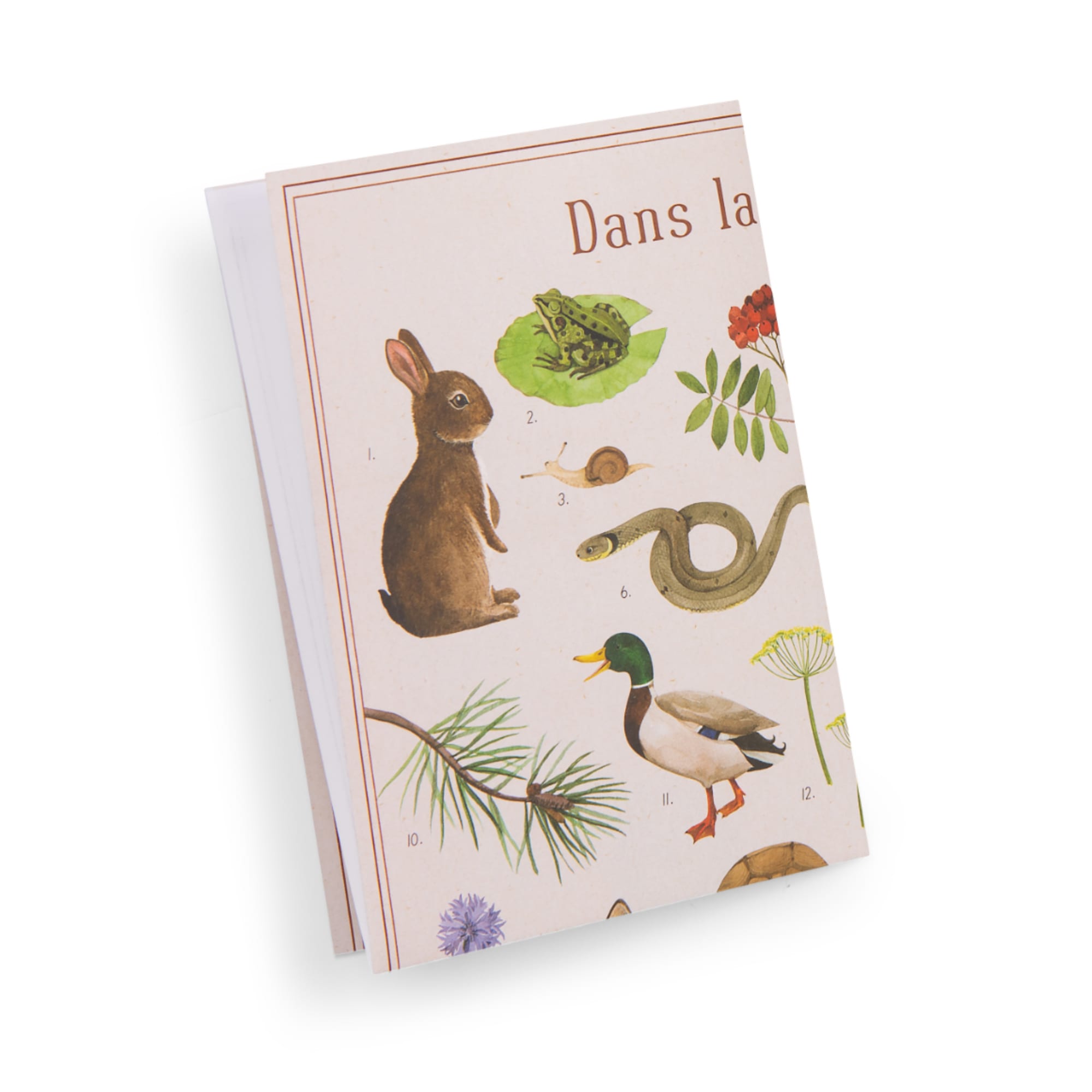 Cofanetto alla scoperta degli animali (francese/inglese)