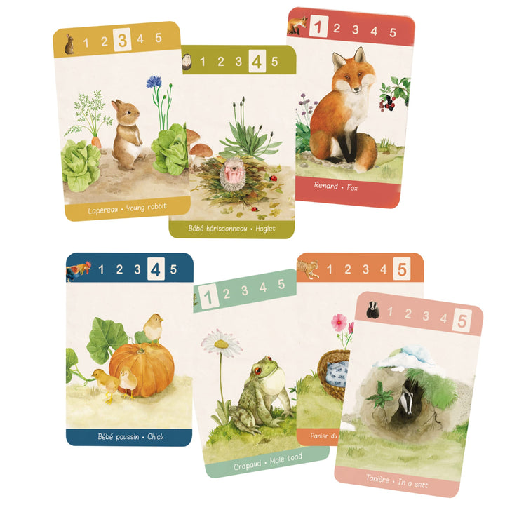 Gioco di carte delle 7 famiglie, Animali del giardino