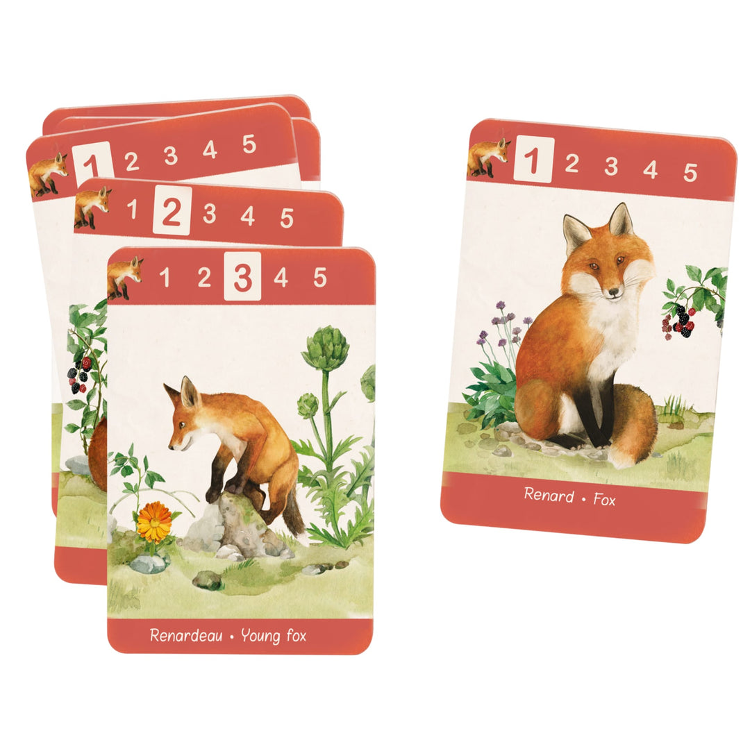 Gioco di carte delle 7 famiglie, Animali del giardino