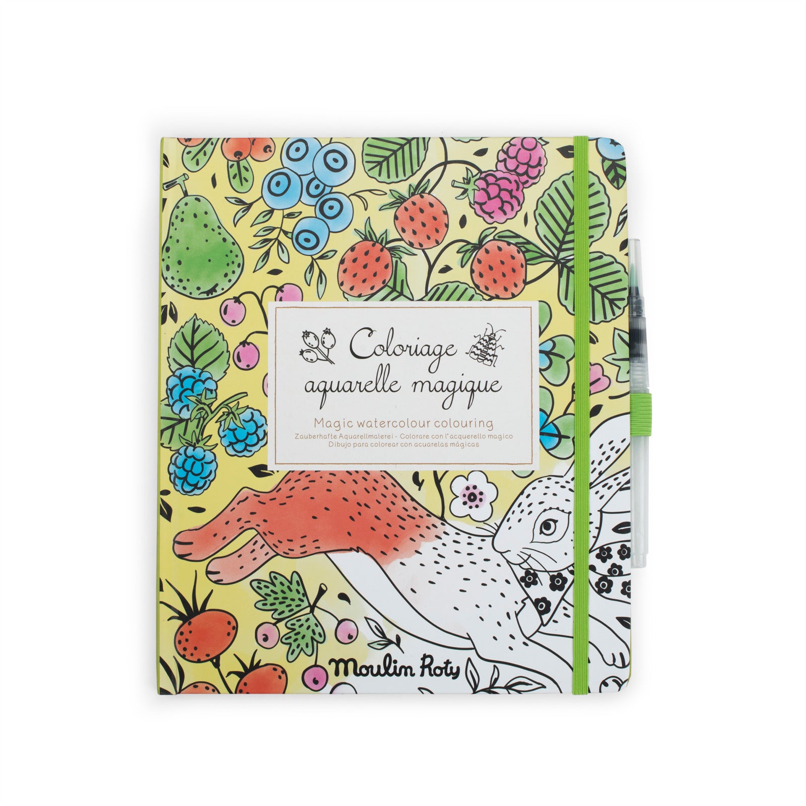 Magic watercolour colouring book, The garden