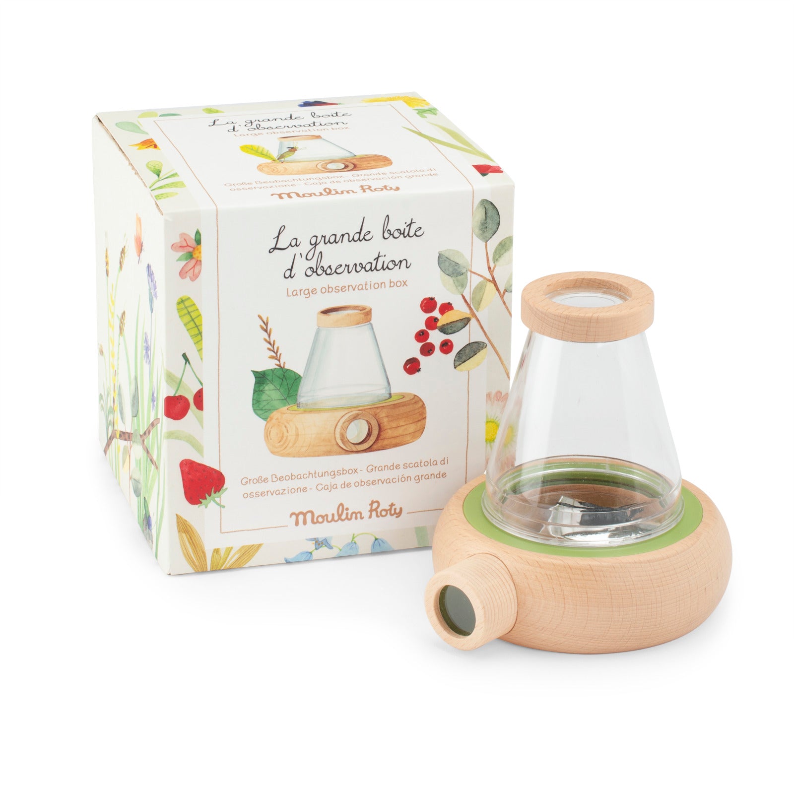 Large insect observation box