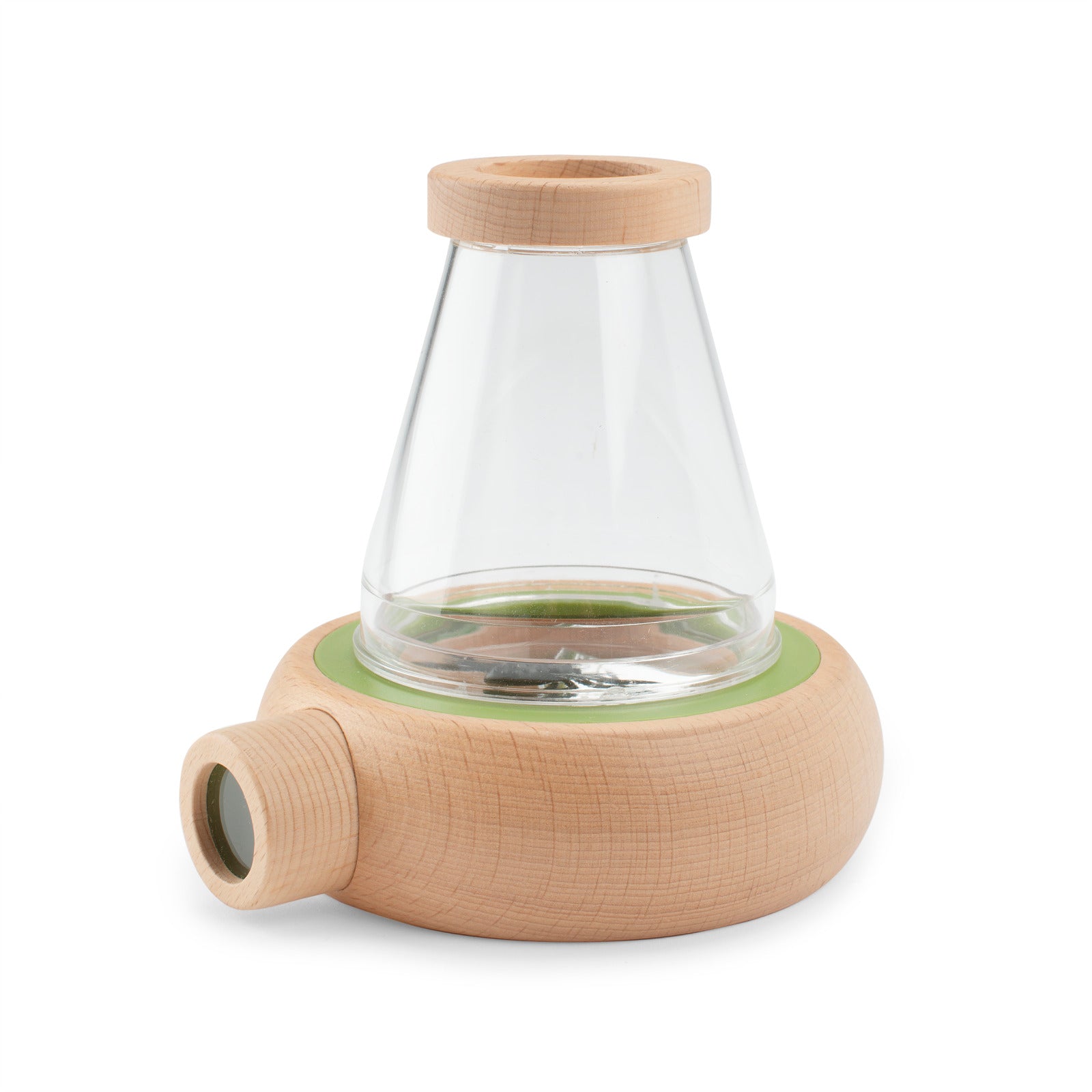 Large insect observation box