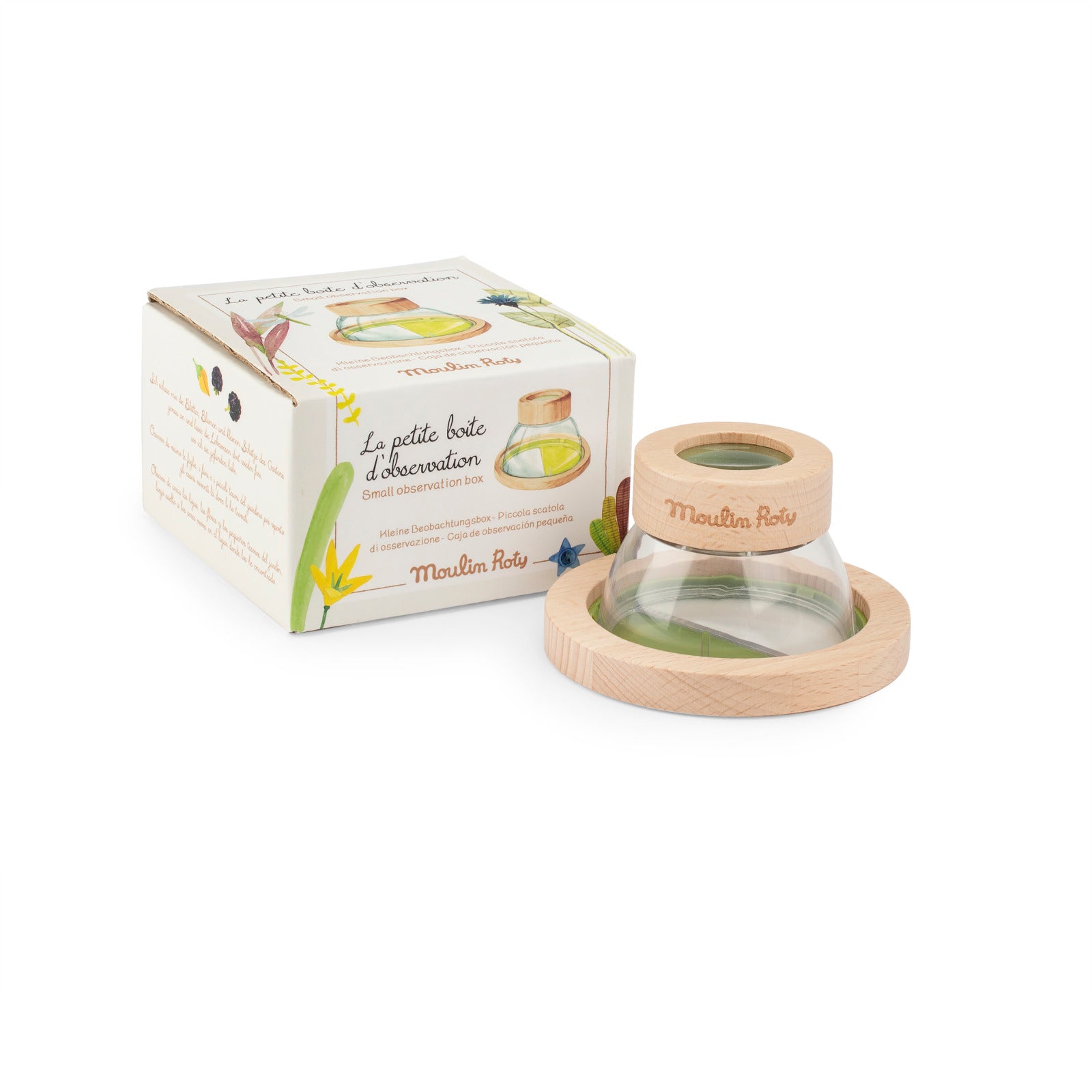 Small insect observation box