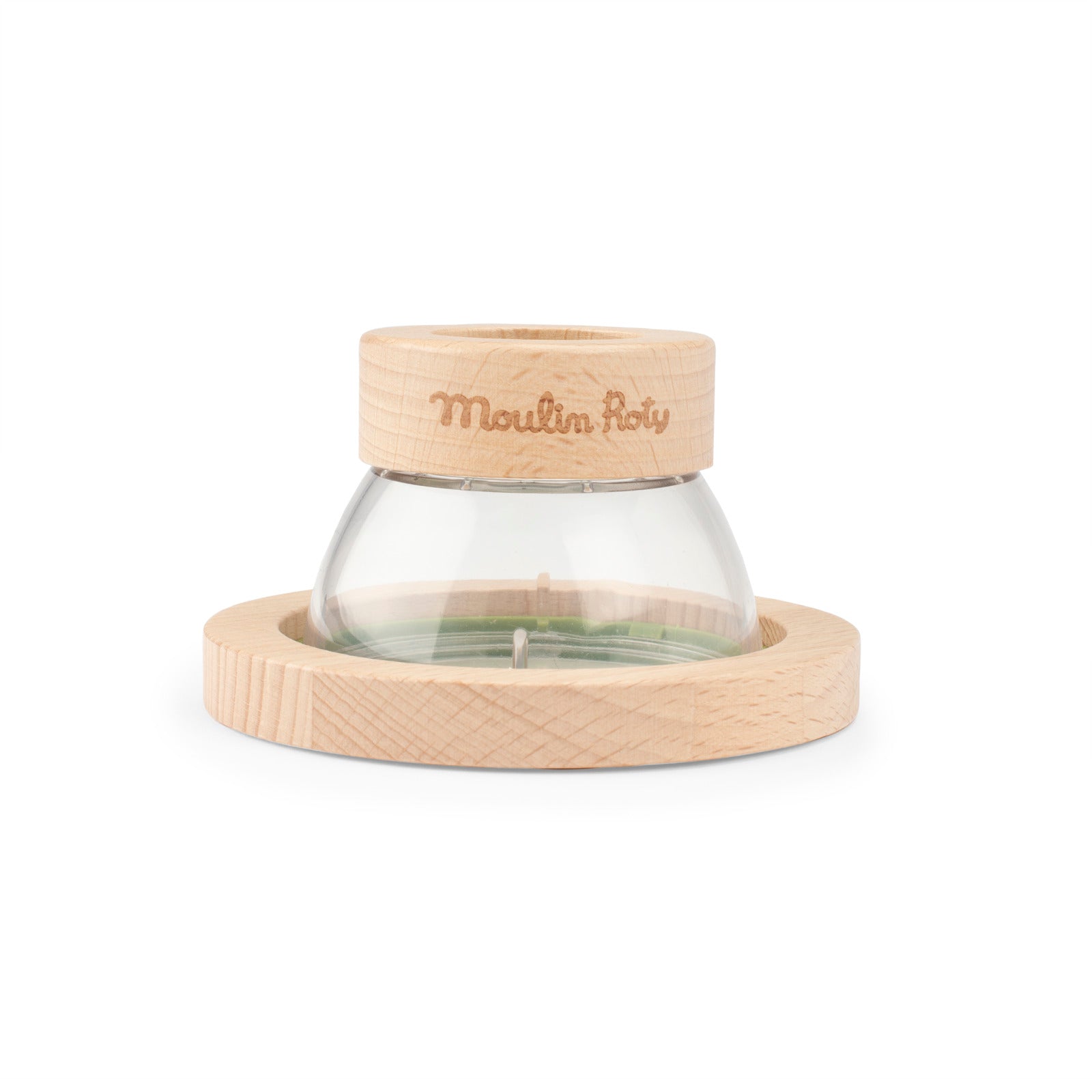 Small insect observation box