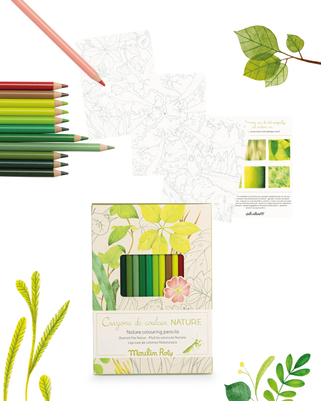 Matite colorate + carte, Natura