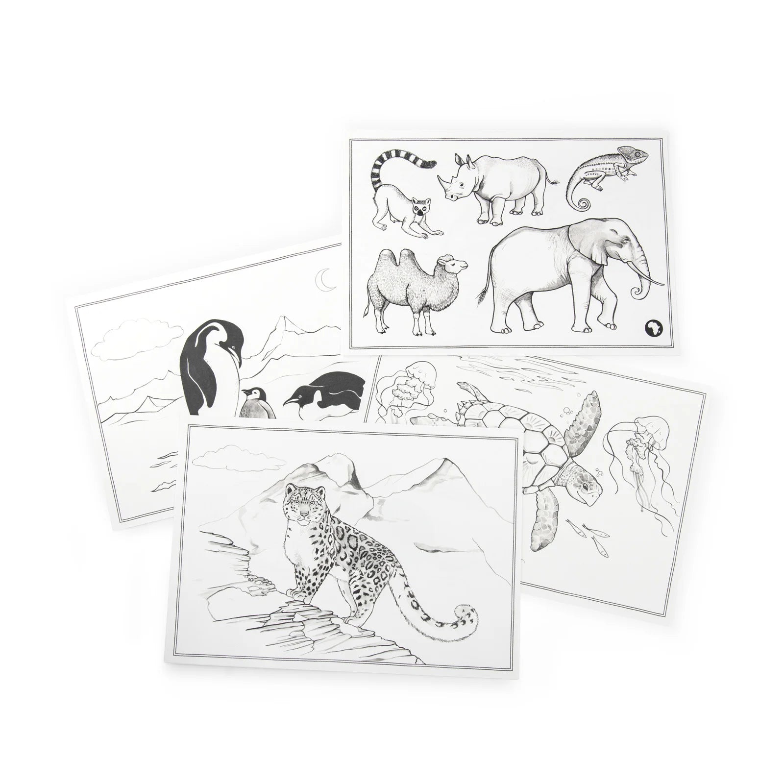 24 Drawing templates, Animals of the world