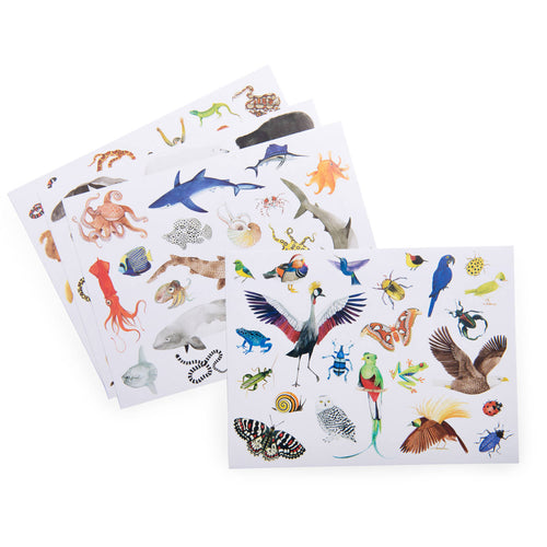 Adesivi riposizionabili, Animali del mondo (78 pz) | Moulin Roty