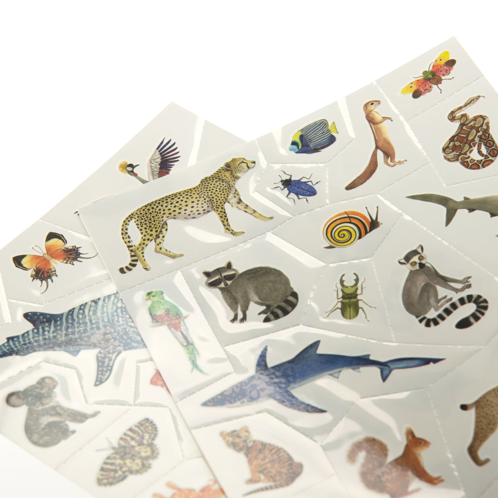 Tatuaggi temporanei, Animali del mondo