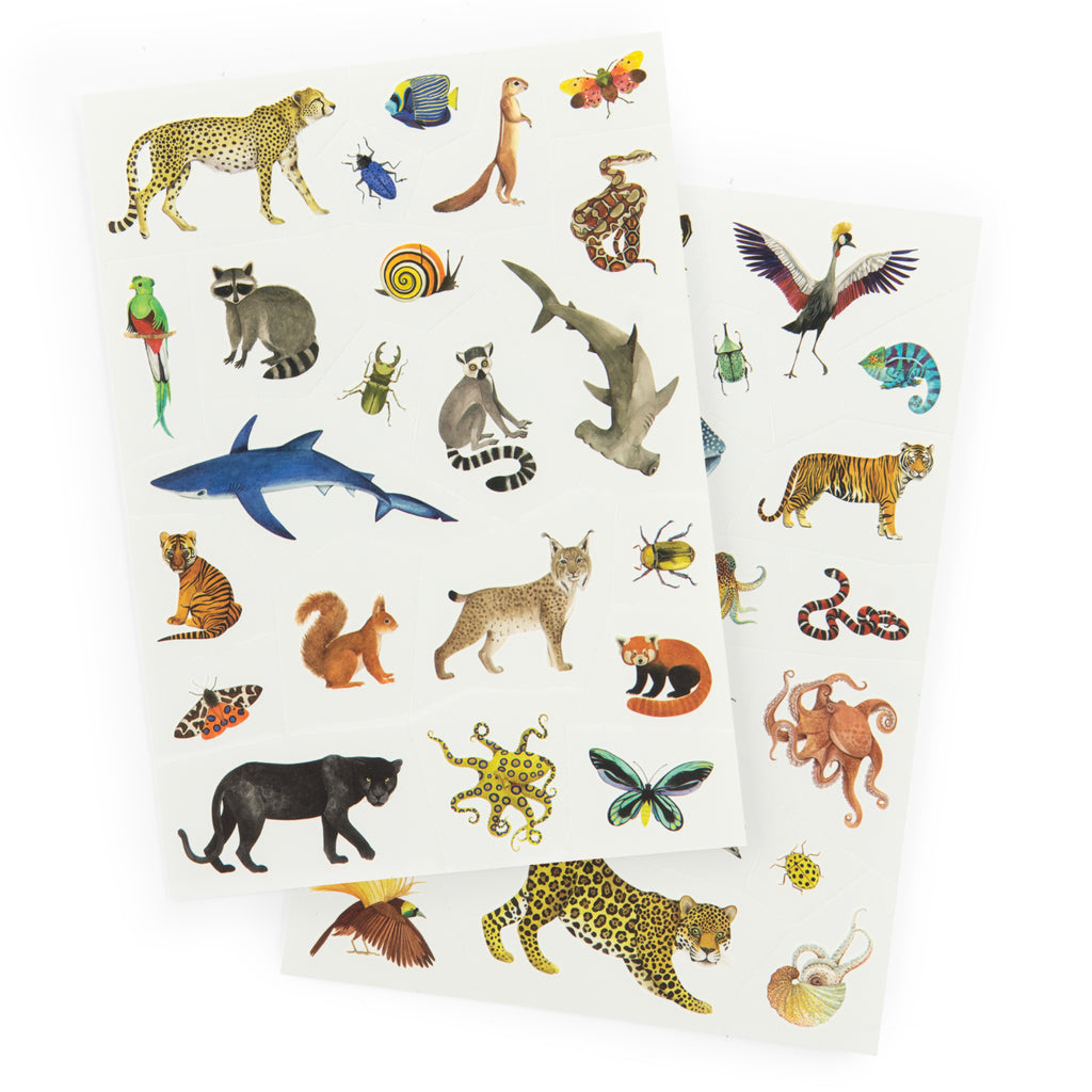 Tatuaggi temporanei, Animali del mondo