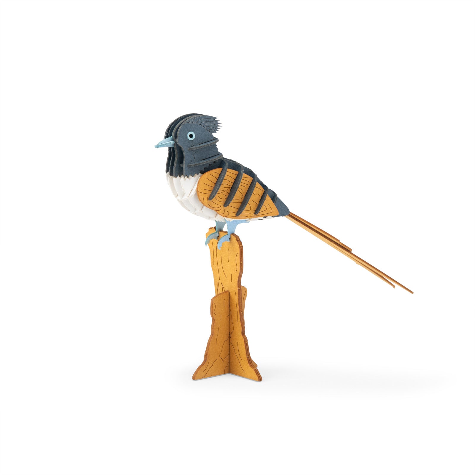 3D Puzzle Paradise Flycatcher
