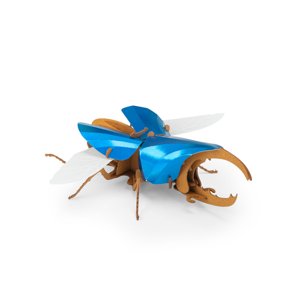 Puzzle 3D Scarabeo