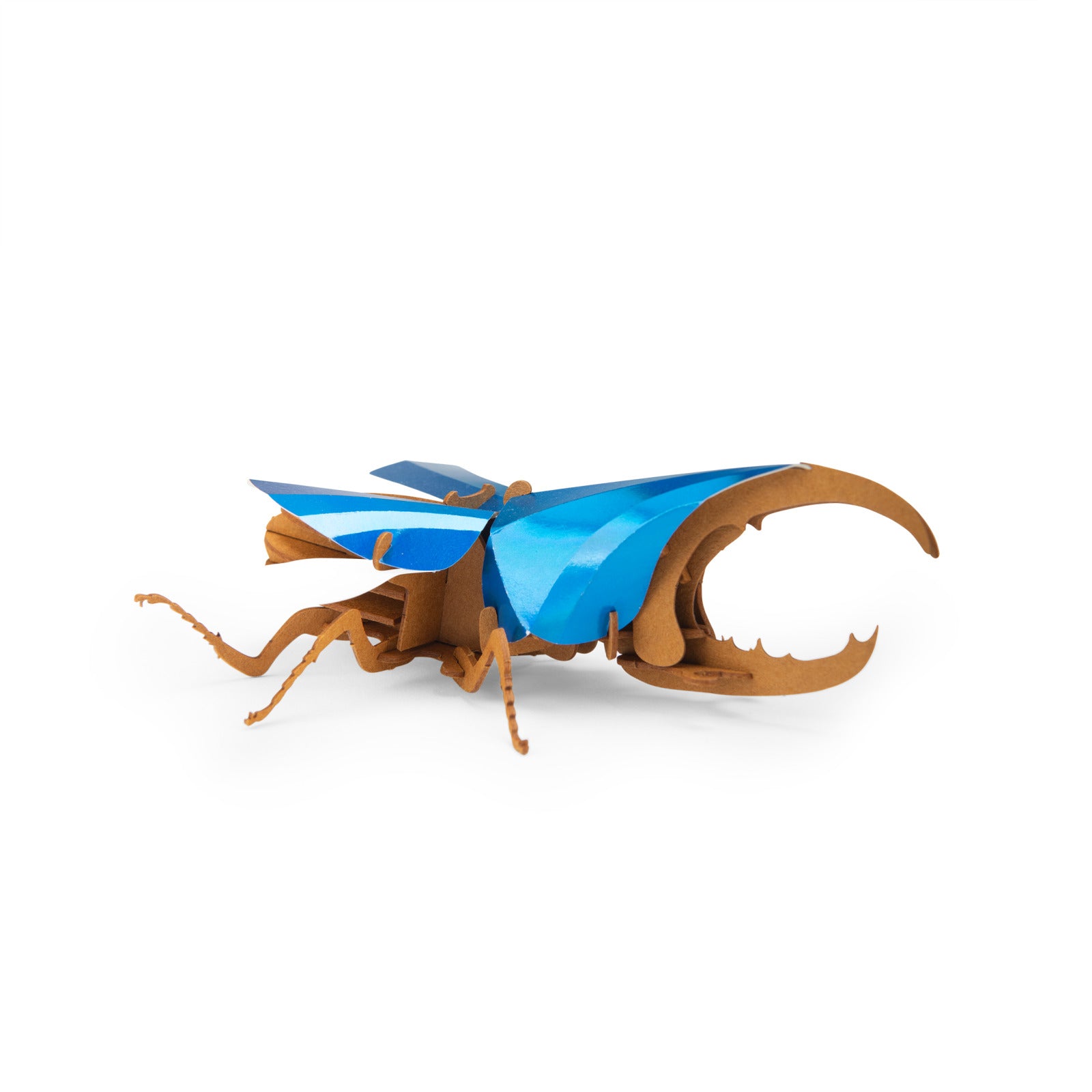 Puzzle 3D Scarabeo