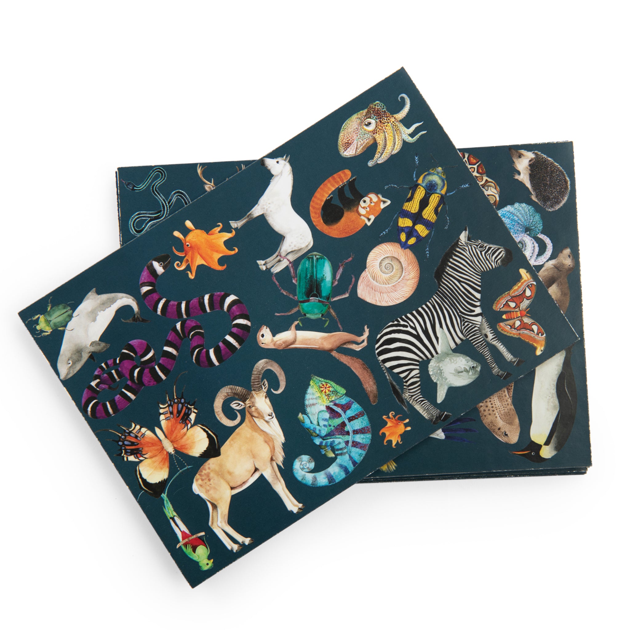 Seek and Find Game, Animals of the World