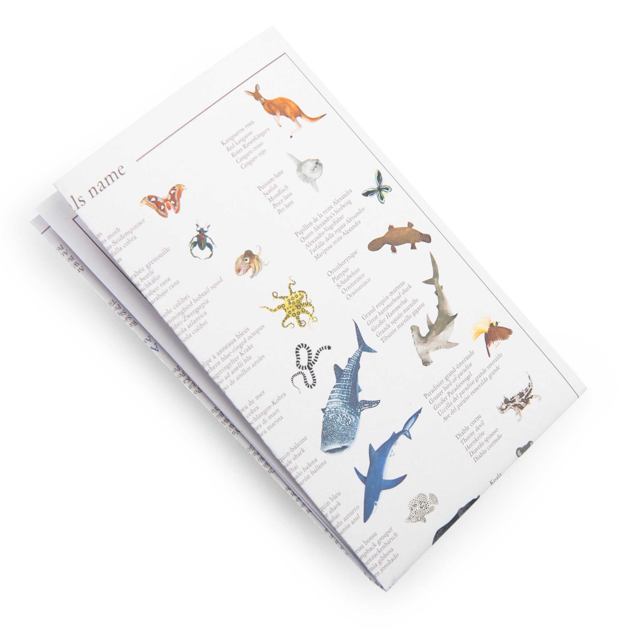 Seek and Find Game, Animals of the World