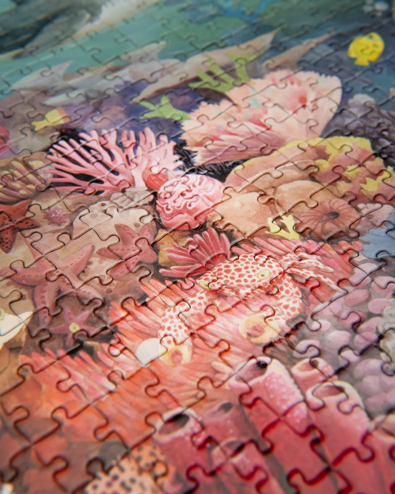 Puzzle Le récif corallien 1000 pcs
