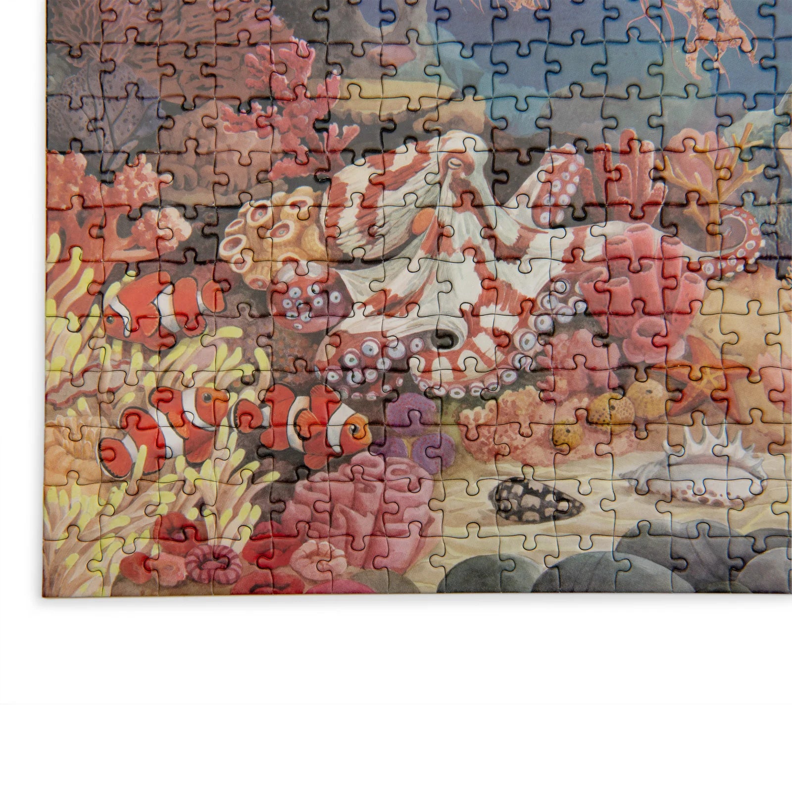 Puzzle Le récif corallien 1000 pcs
