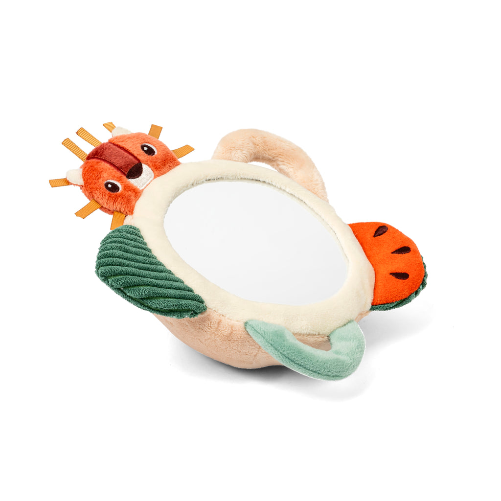 Jack the Lion Activity Mirror