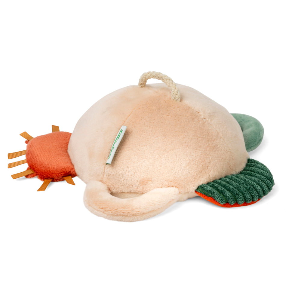 Jack the Lion Activity Mirror