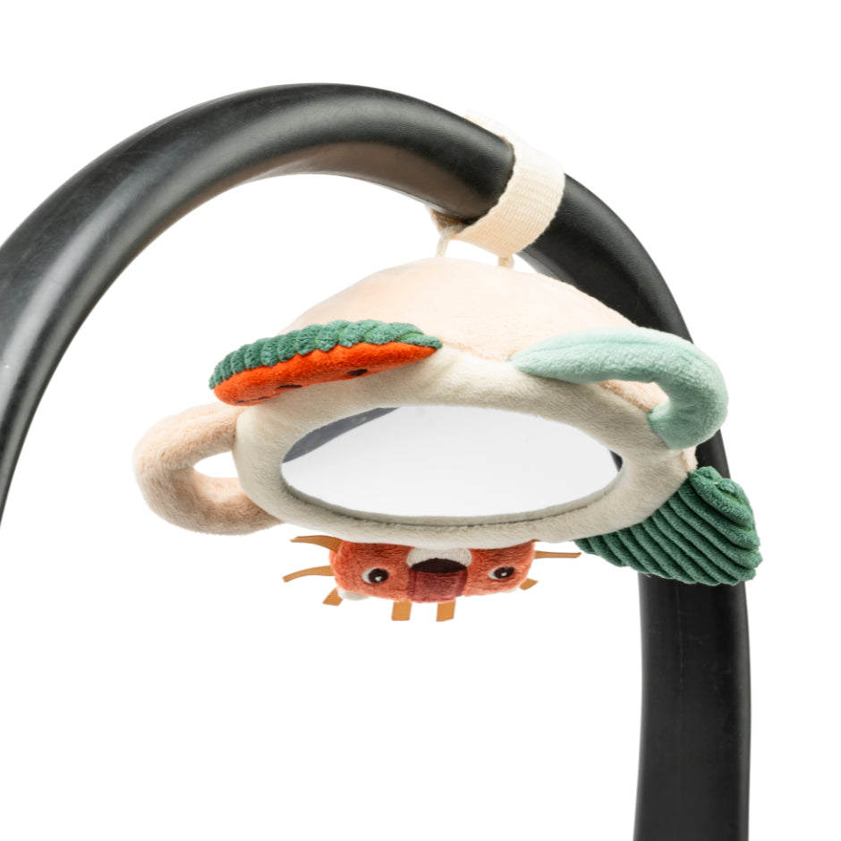 Jack the Lion Activity Mirror