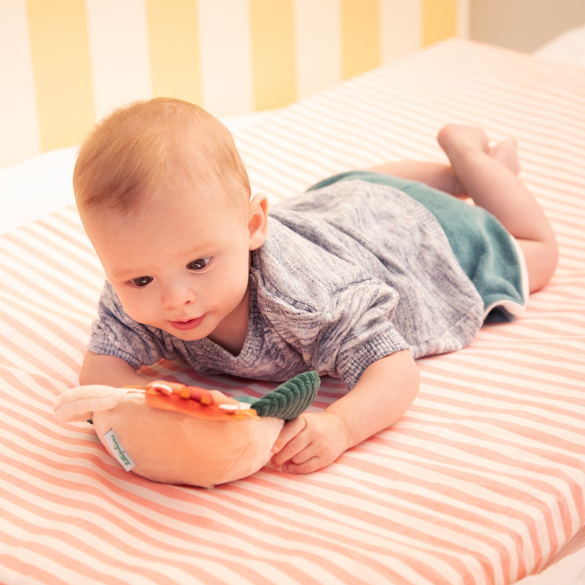 Jack the Lion Activity Mirror