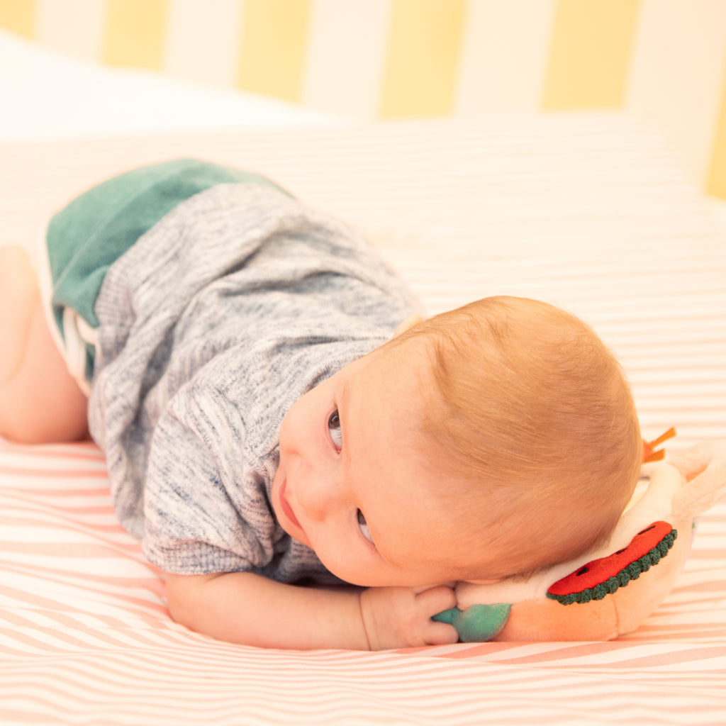 Specchio delle attività Jack il leone