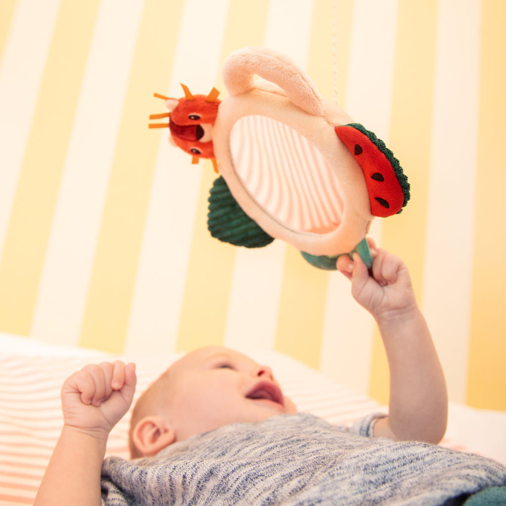 Jack the Lion Activity Mirror