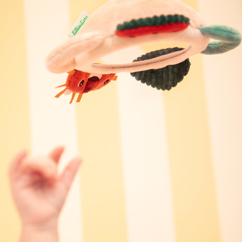 Jack the Lion Activity Mirror