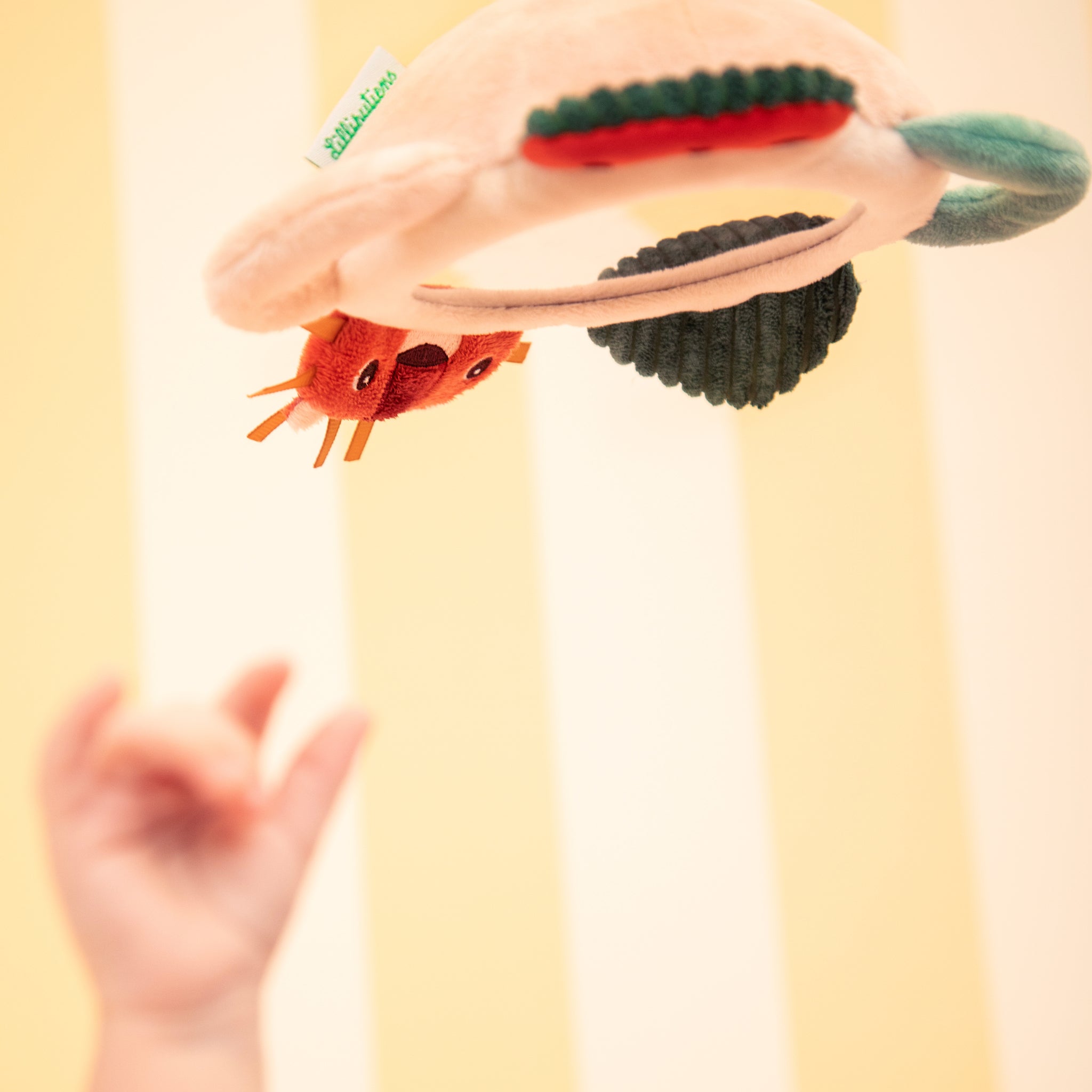 Jack the Lion Activity Mirror