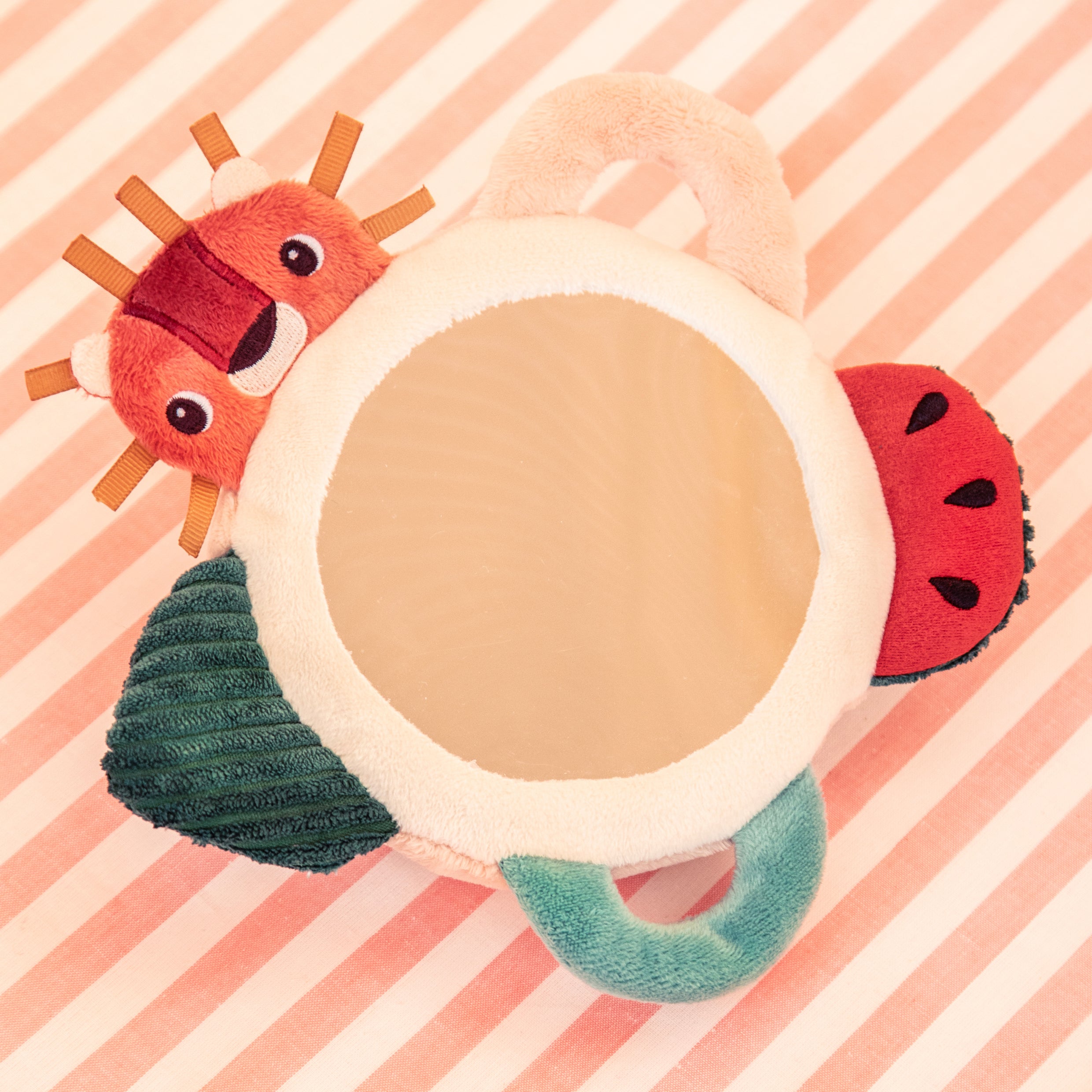 Jack the Lion Activity Mirror