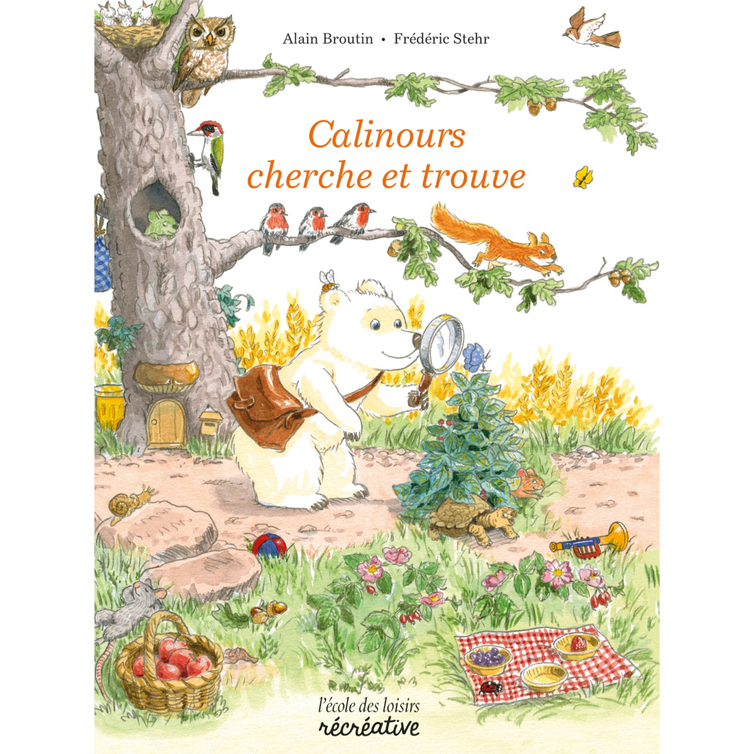 Book Cherche et trouve Calinours - FRA