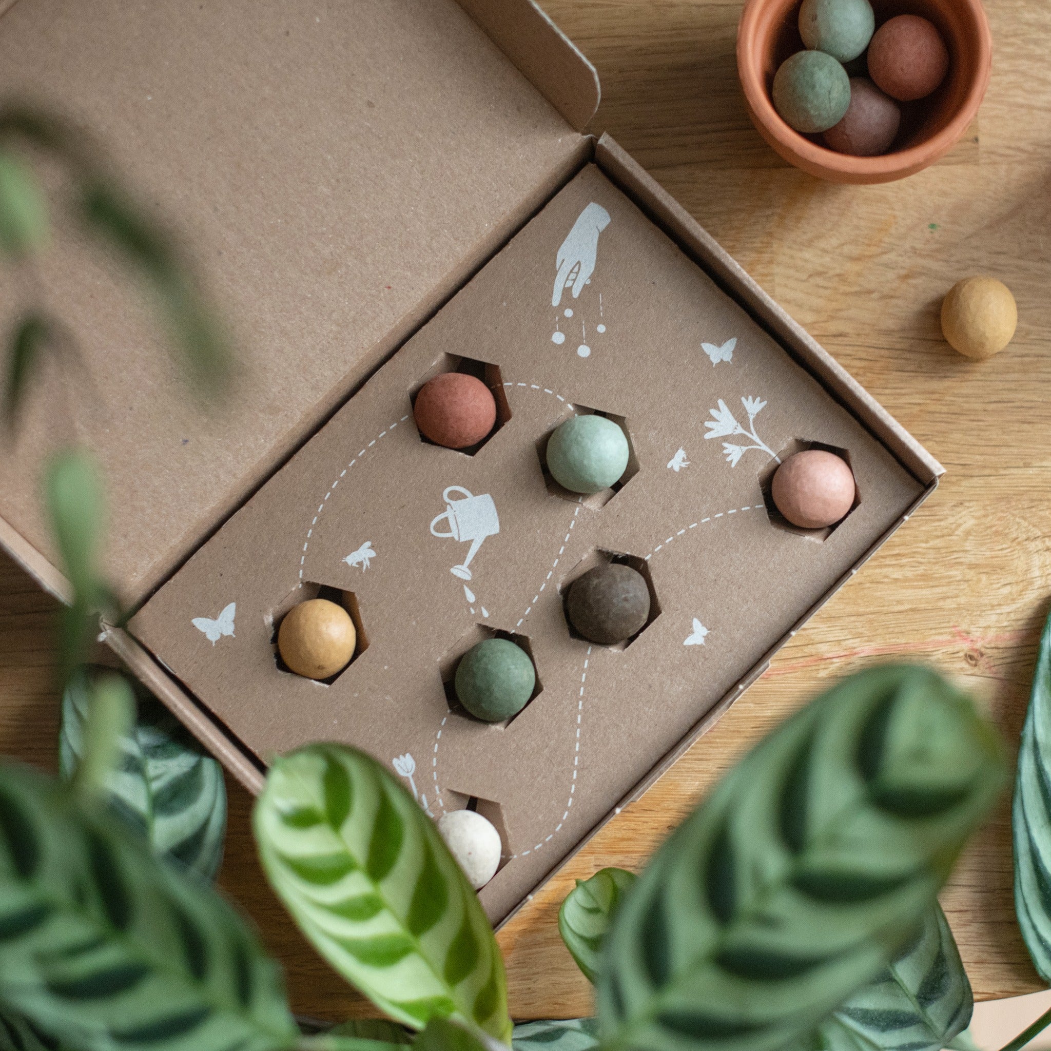 Box of 7 organic seed bombs, Flowers