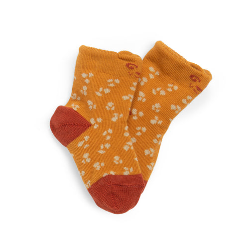 Little tiger socks, Milan