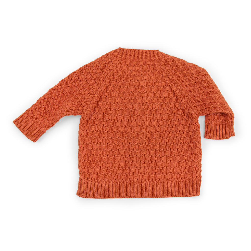 Cardigan in maglia di cotone terracotta, Nolwenn