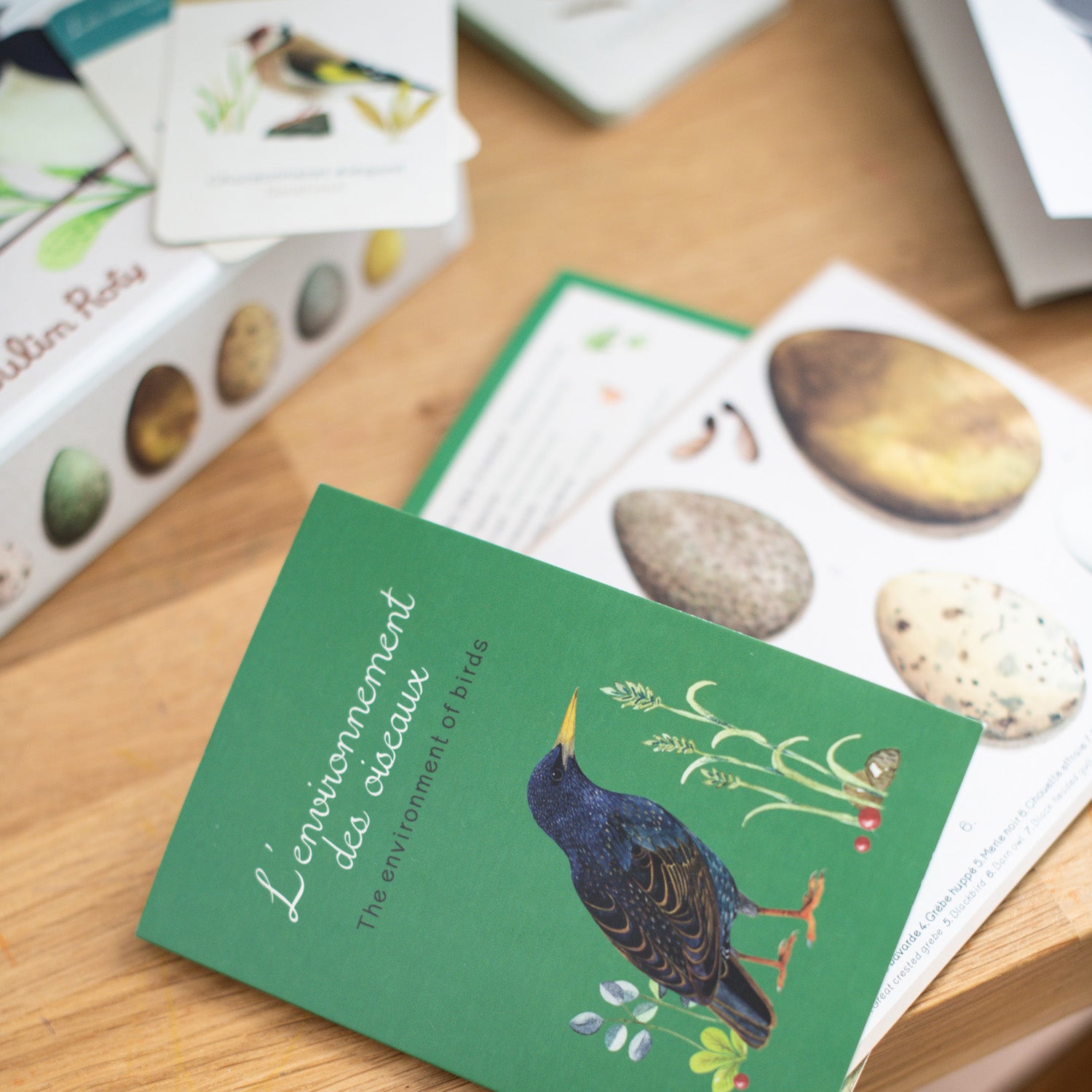 Bird Discovery Box (French/English)