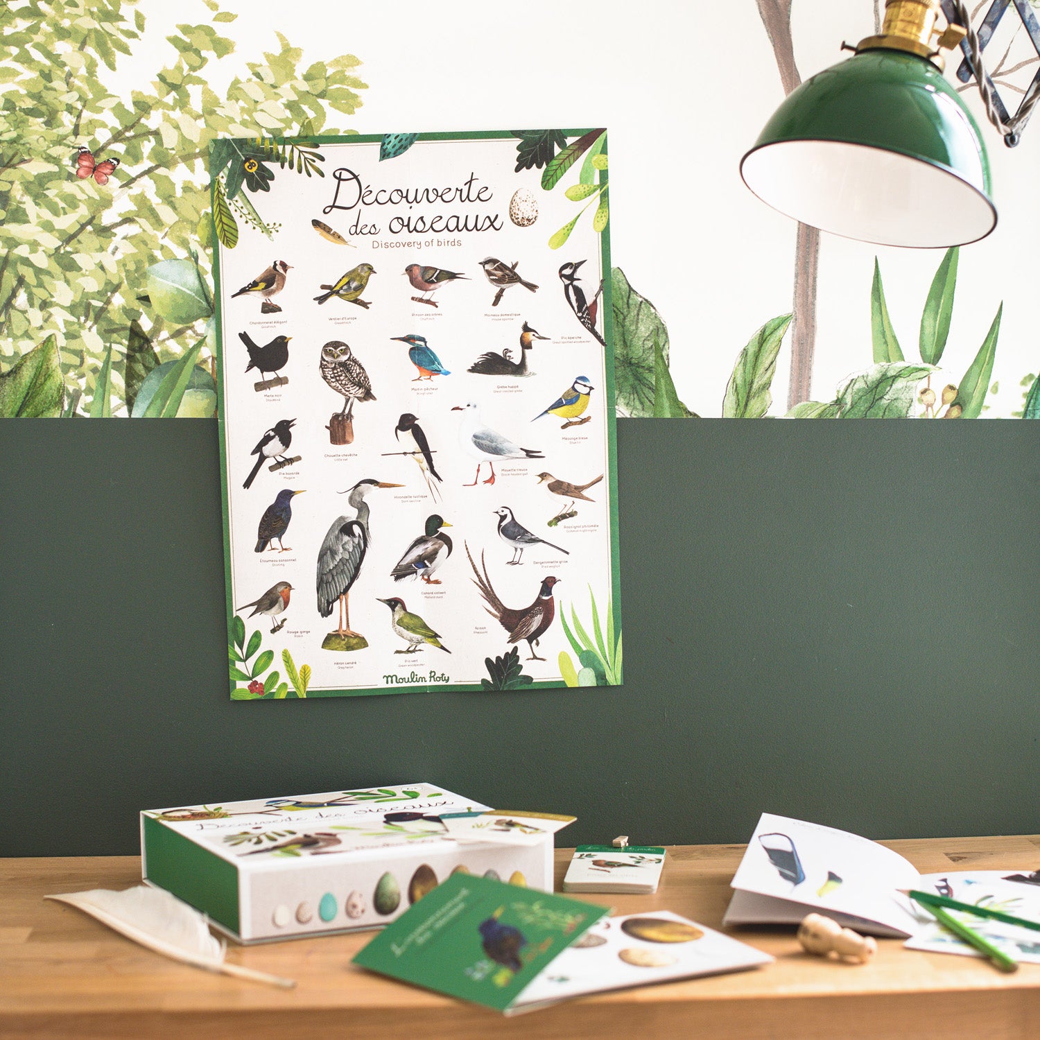 Bird Discovery Box (French/English)