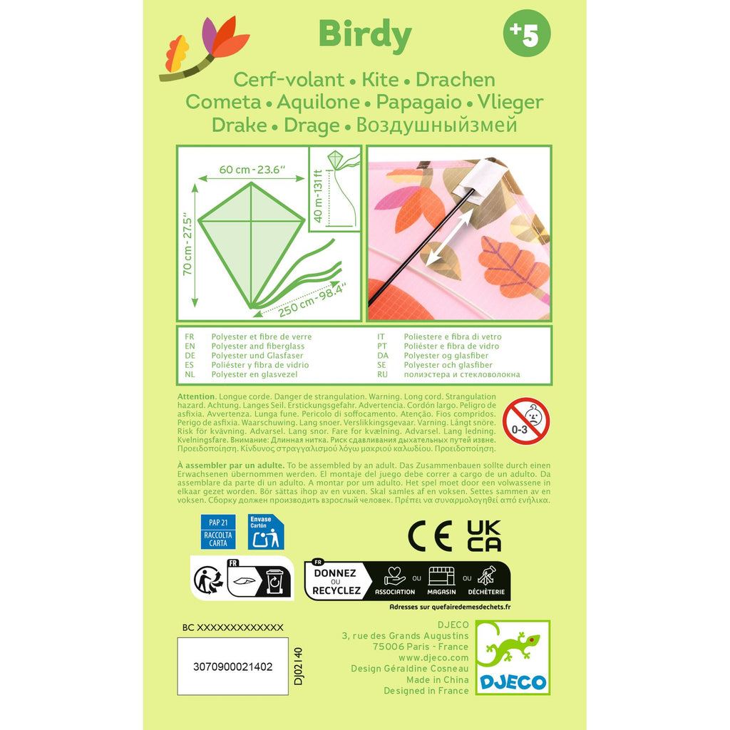Kite, Birdy