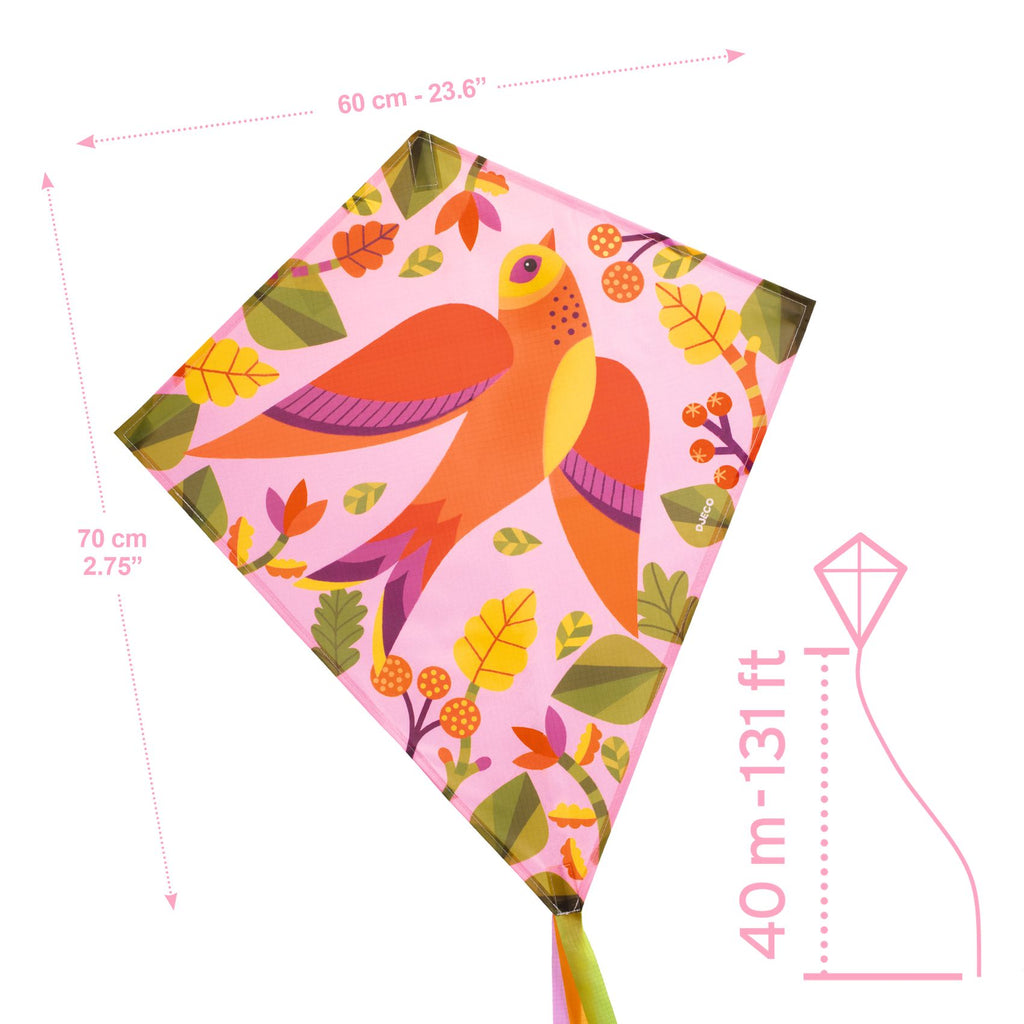 Kite, Birdy