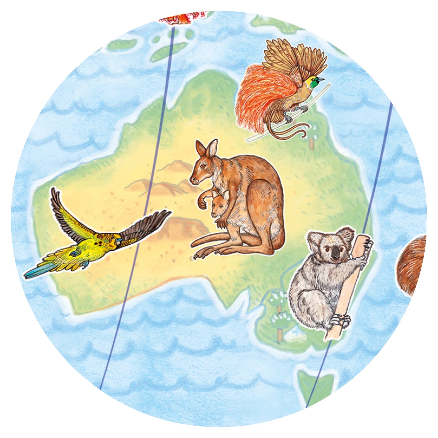 Puzzle osservazione, Gli animali del mondo - 100 pezzi