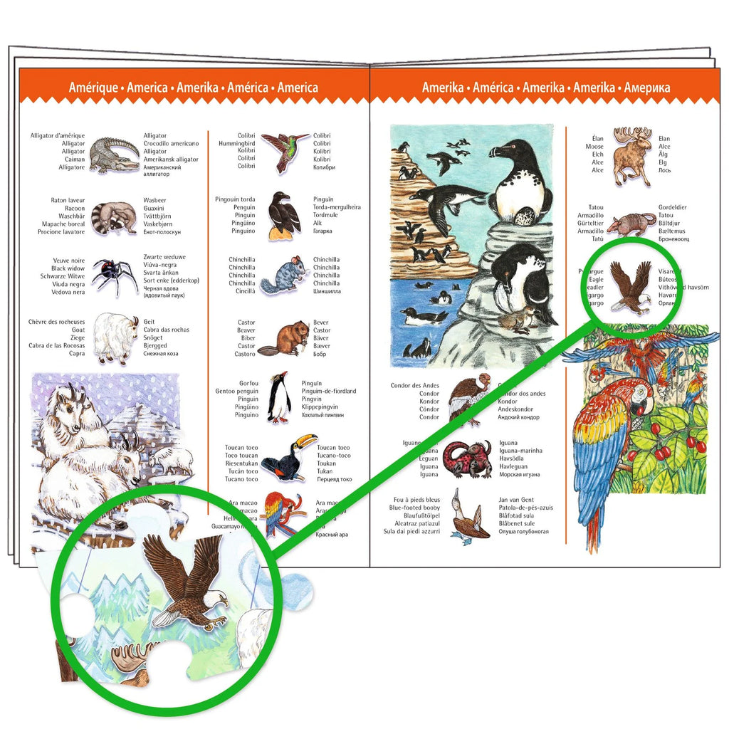 Puzzle osservazione, Gli animali del mondo - 100 pezzi