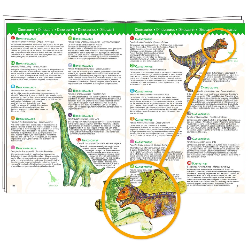 Observation puzzle, Dinosaurs - 100 pieces
