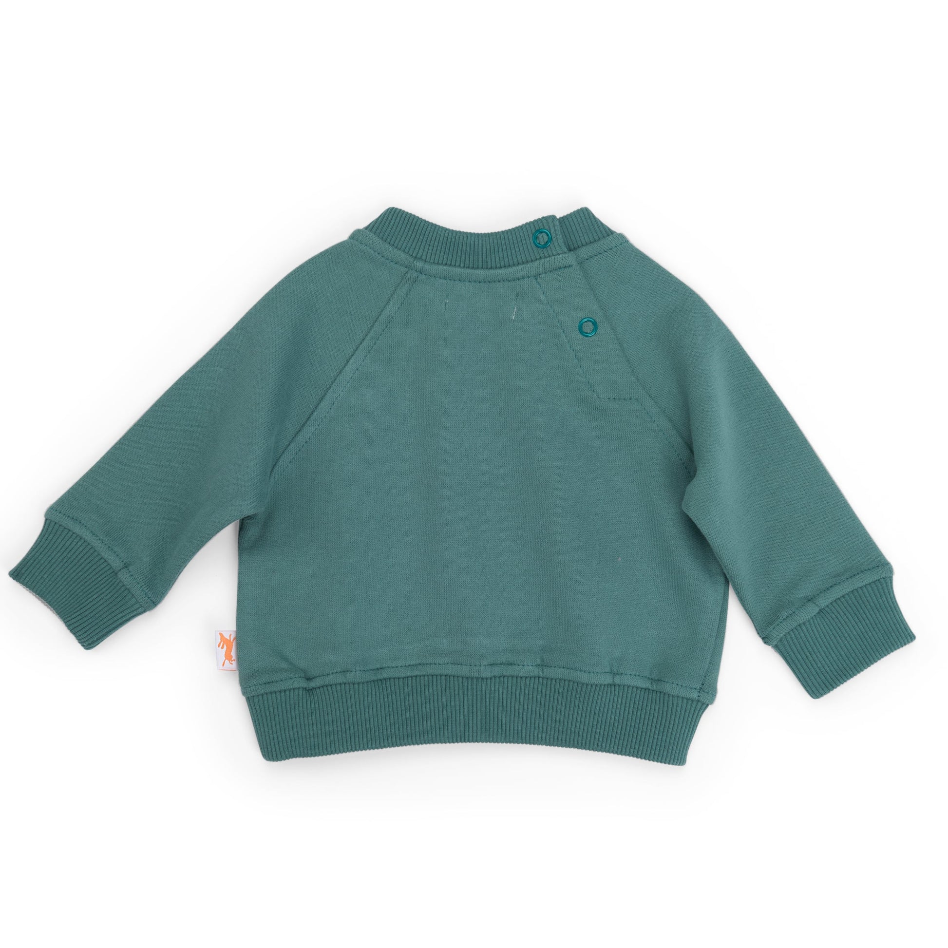 Felpa morbida in cotone verde carciofo, Lenny