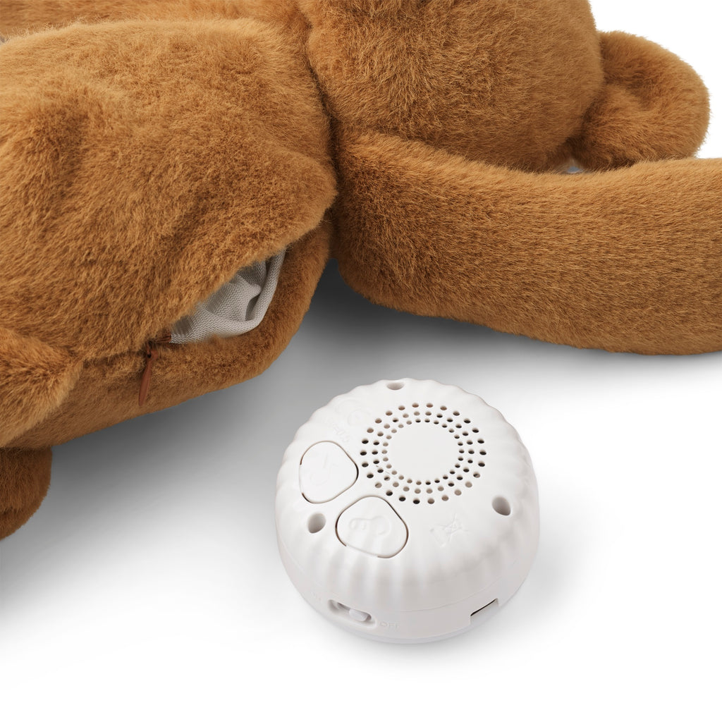Orsacchiotto ronzante con luce, Teddy bear