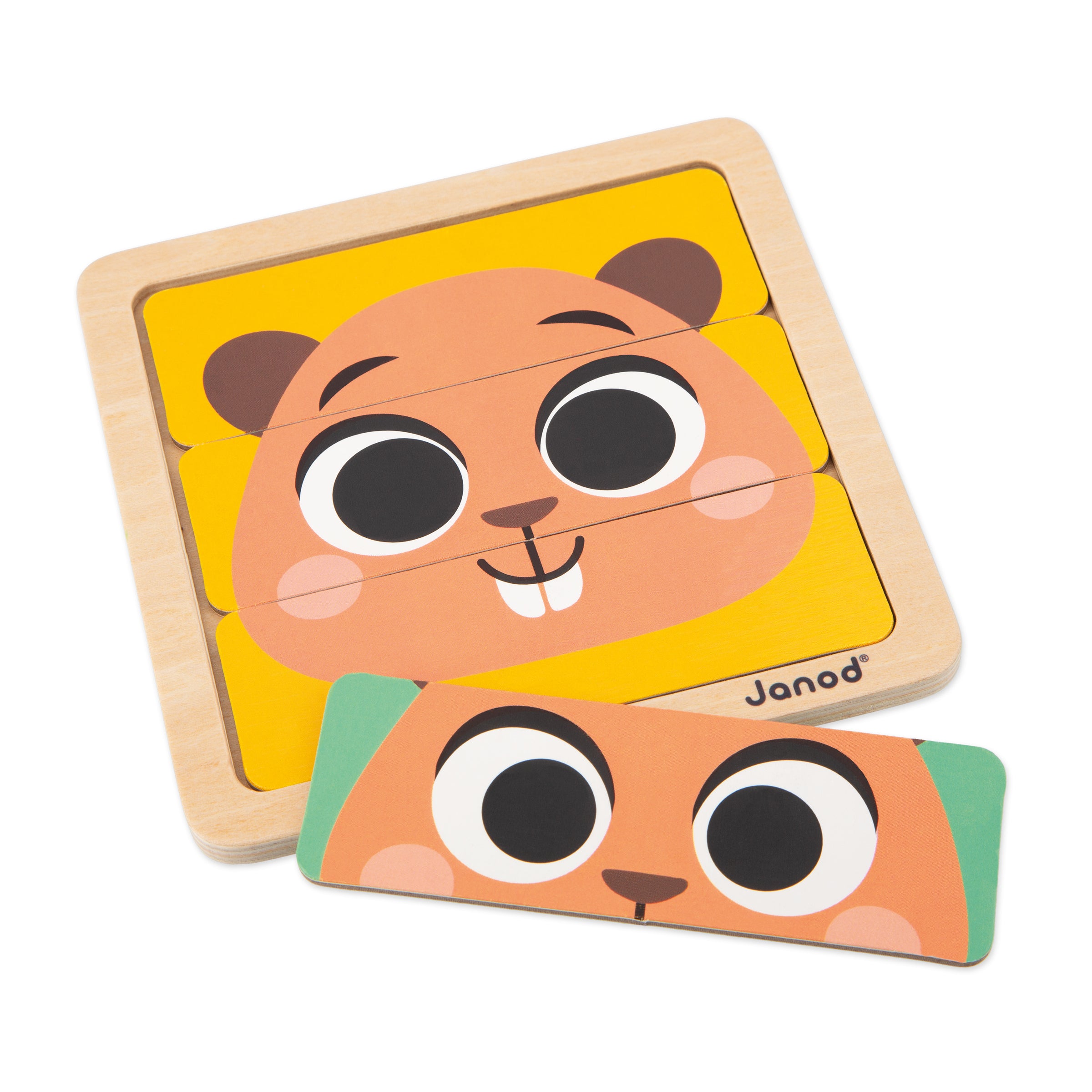 Janod box, Wooden toys for 36 months - Reasoning ability
