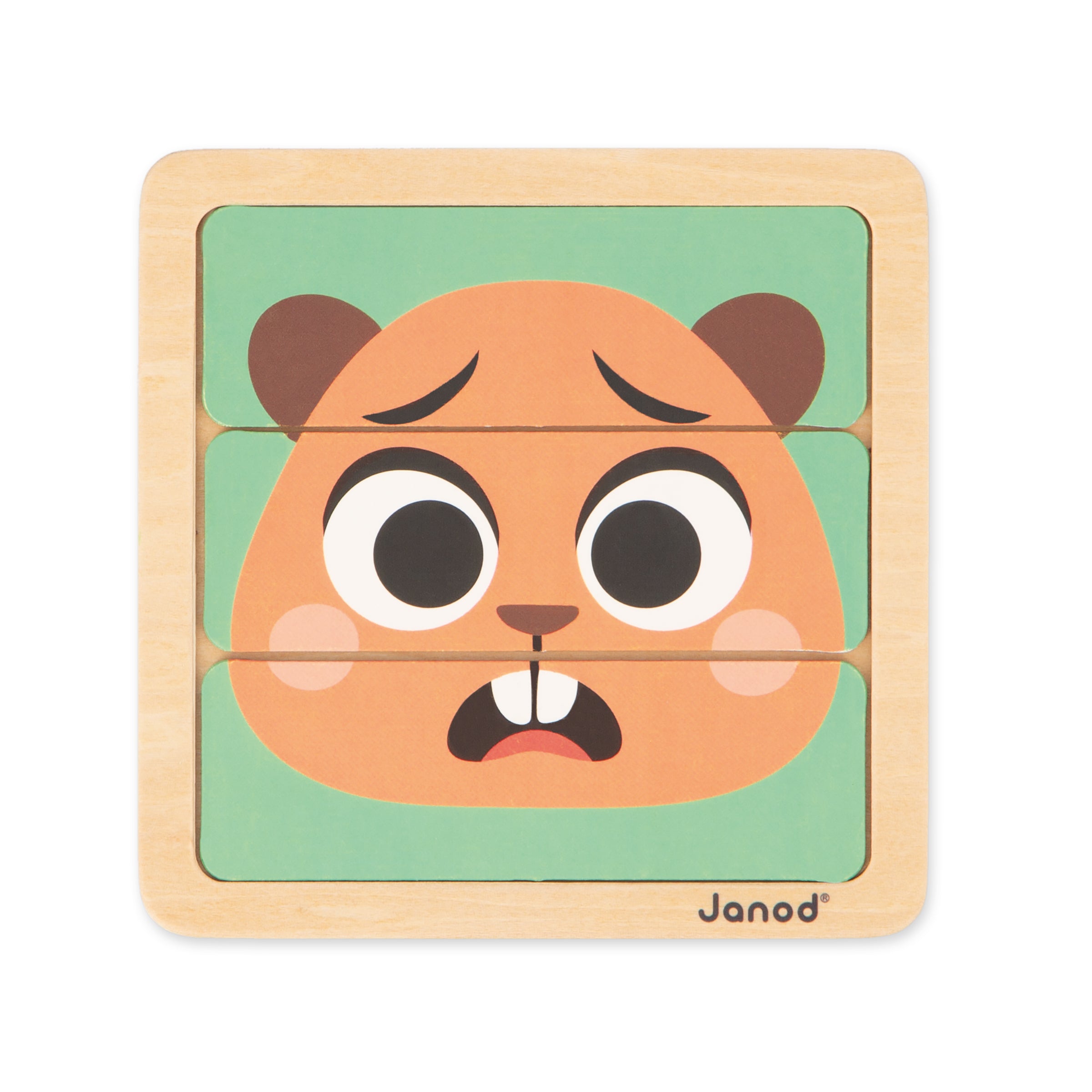Janod box, Wooden toys for 36 months - Reasoning ability