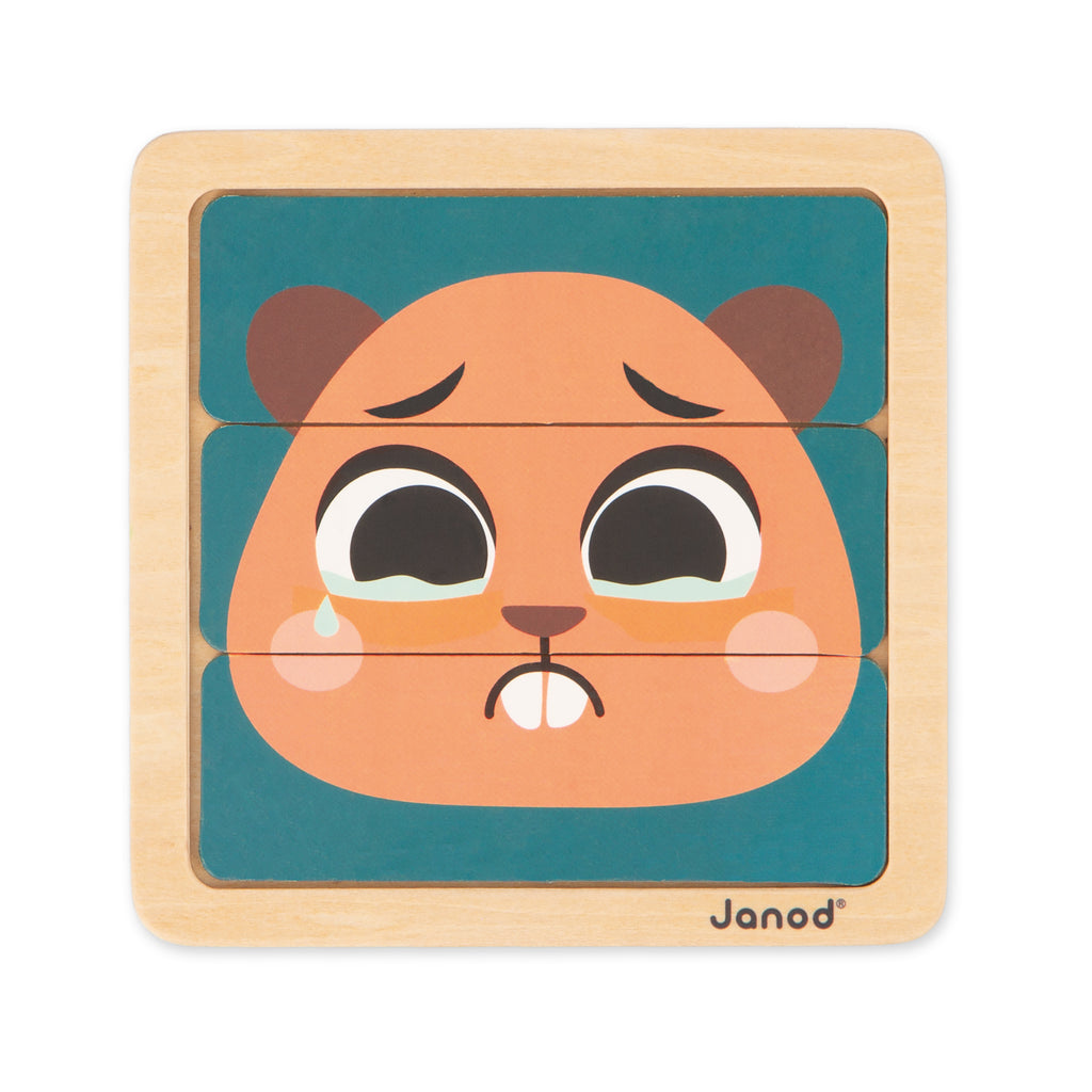 Janod box, Wooden toys for 36 months - Reasoning ability