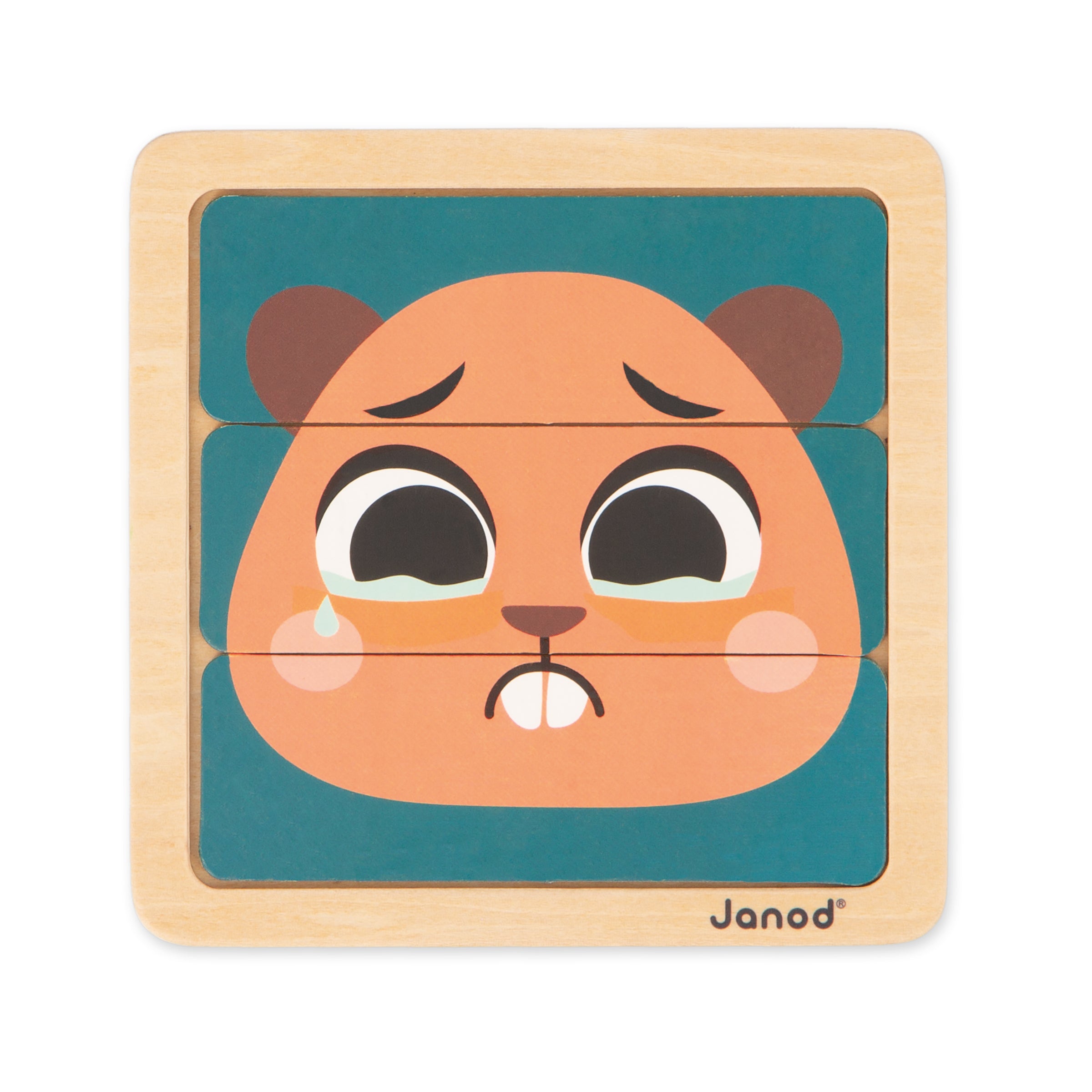 Janod box, Wooden toys for 36 months - Reasoning ability