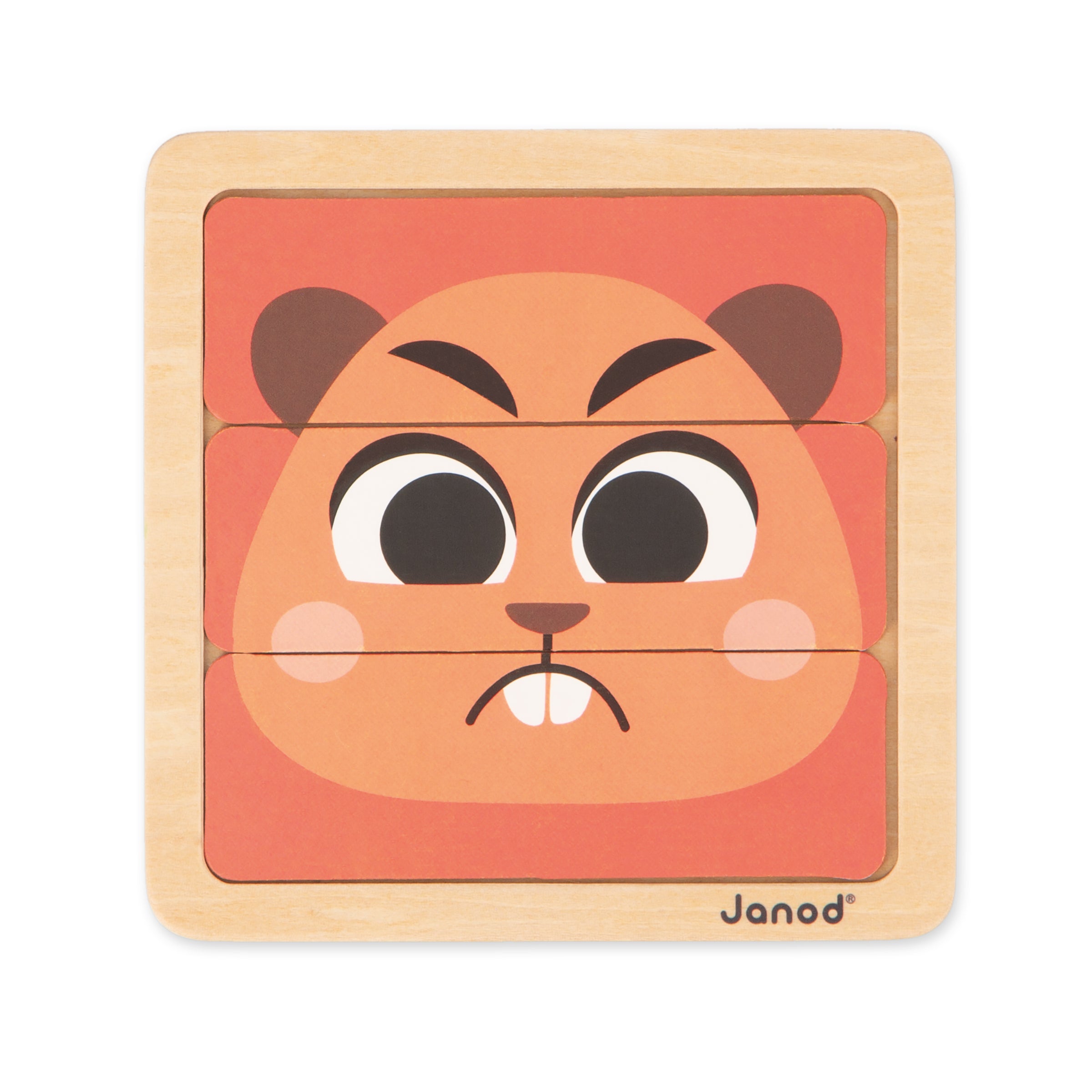 Janod box, Wooden toys for 36 months - Reasoning ability