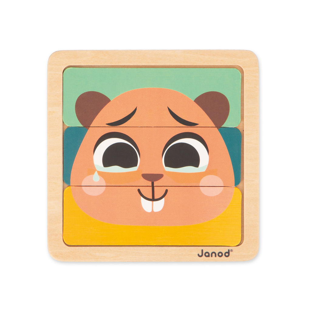 Janod box, Wooden toys for 36 months - Reasoning ability