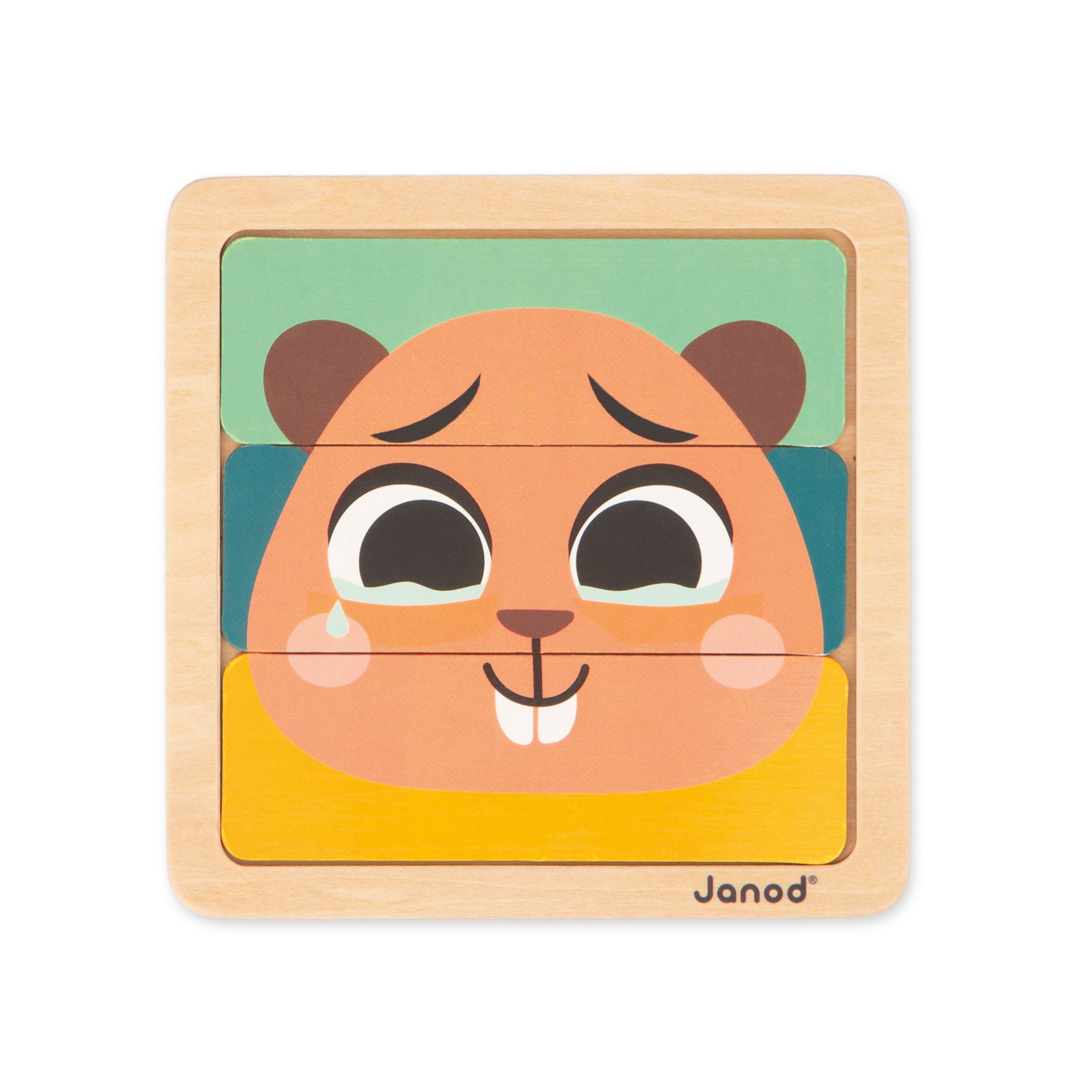 Janod box, Wooden toys for 36 months - Reasoning ability