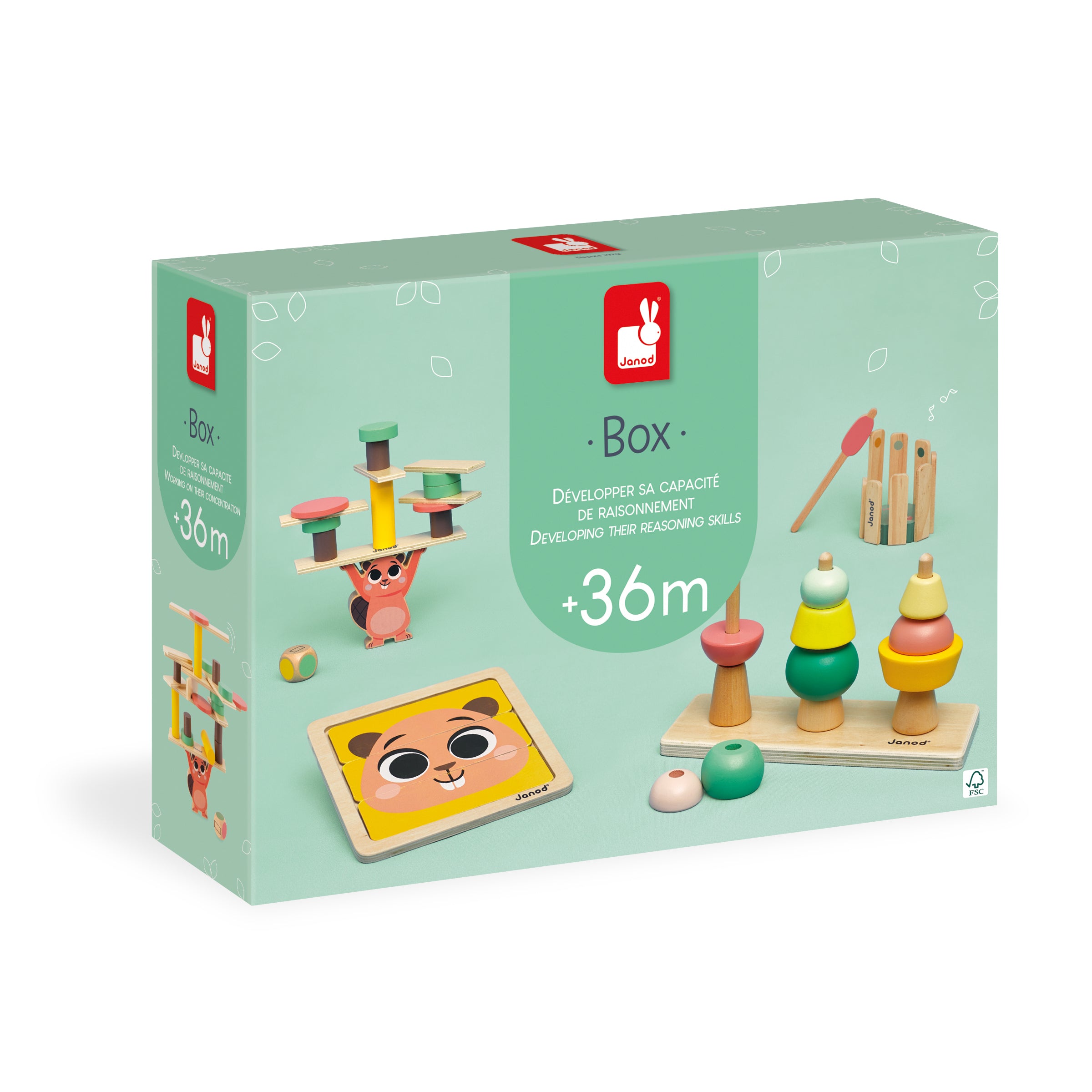 Janod box, Wooden toys for 36 months - Reasoning ability